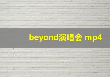 beyond演唱会 mp4